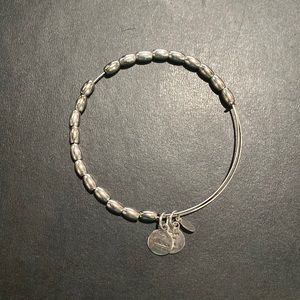 Alex and Ani Silver bangle